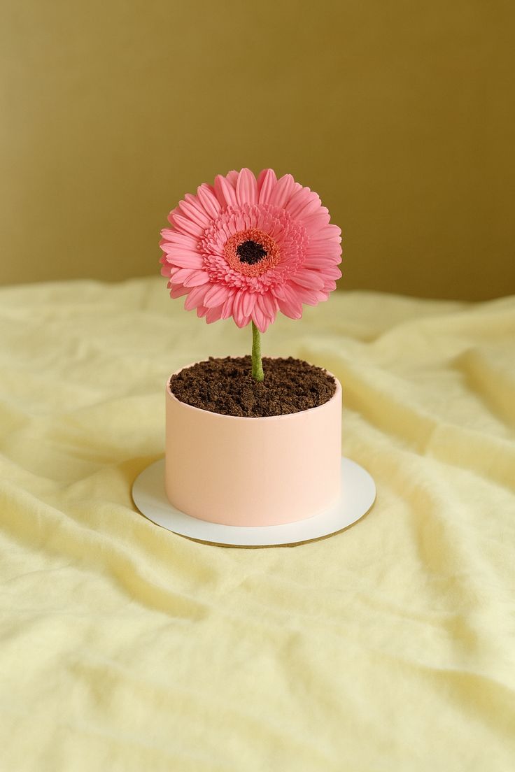 Bento Cake - Jardin Gourmand