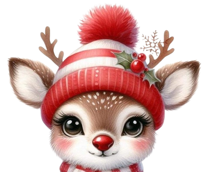 Boule de Noël 4 Biscuits de Noël