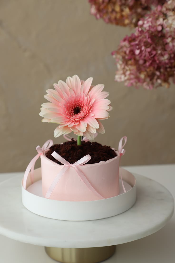 Bento Cake - Jardin Gourmand