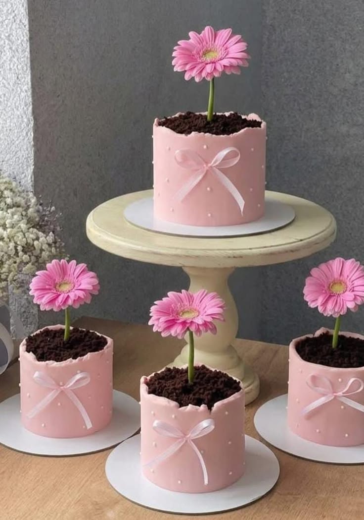 Bento Cake - Jardin Gourmand