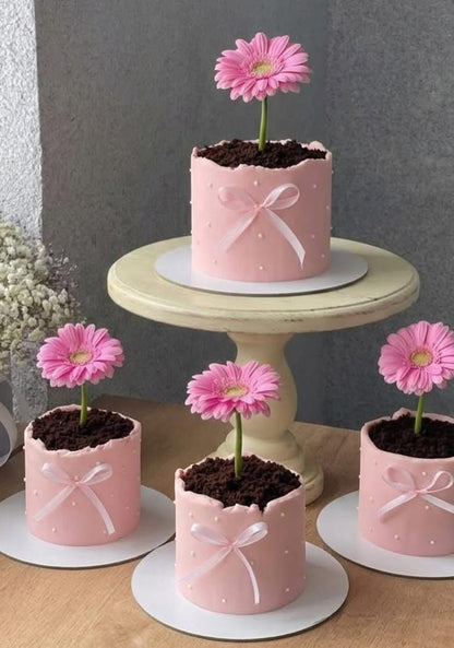 Bento Cake - Jardin Gourmand